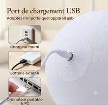Charger l'image dans la galerie, Veilleuse Lune Rechargeable
